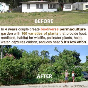 Before and after comparison of a typical single family home and front yard to a biodeverse permaculture garden