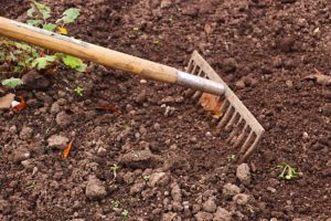 a rake in soil 