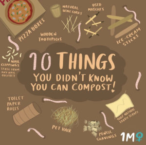 Infographic called 10 Things You Didn't Know You Can Compost from 1millionwomen on Instagram
