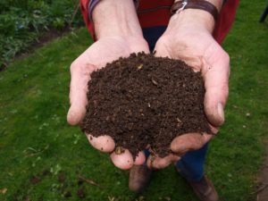 hands holding fresh compost 