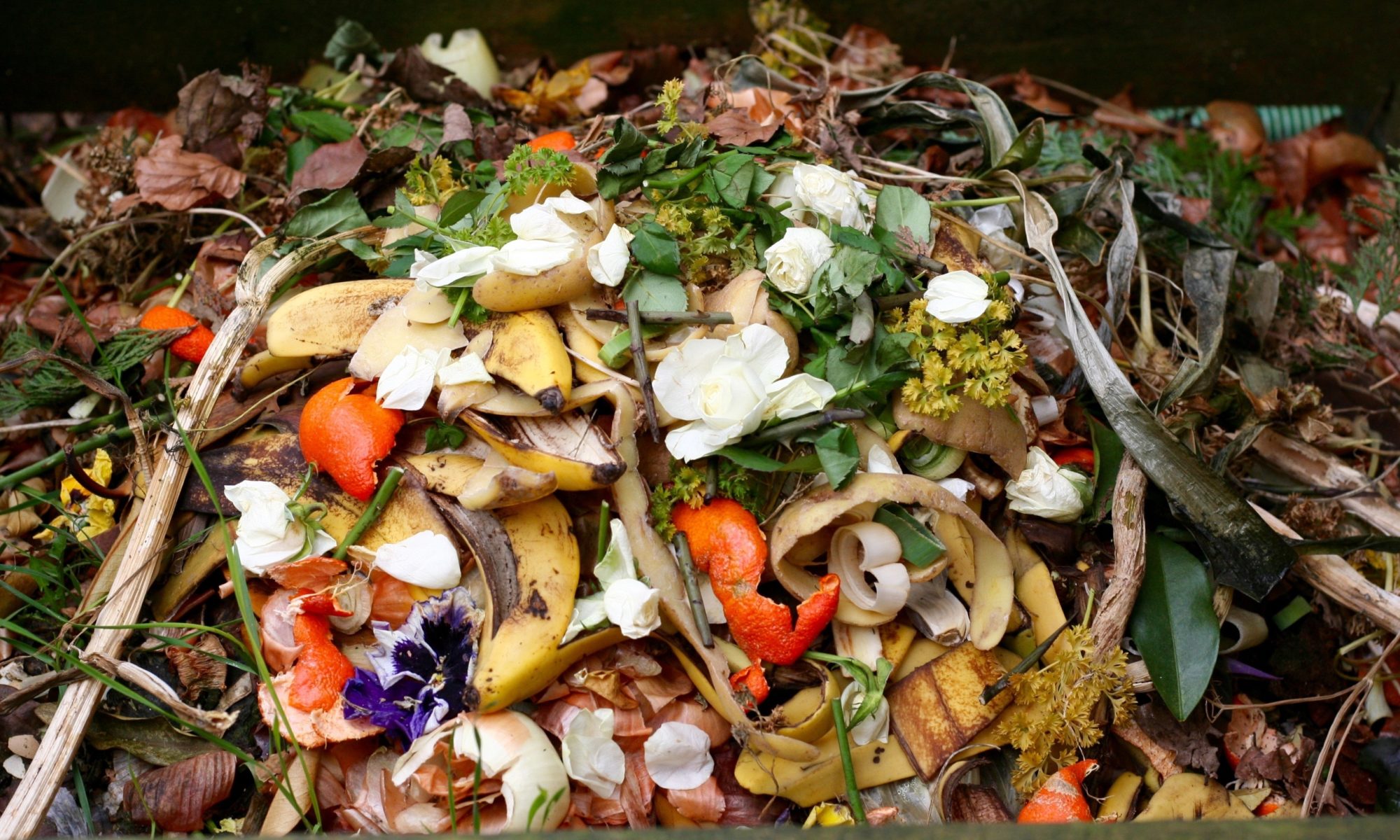 compost