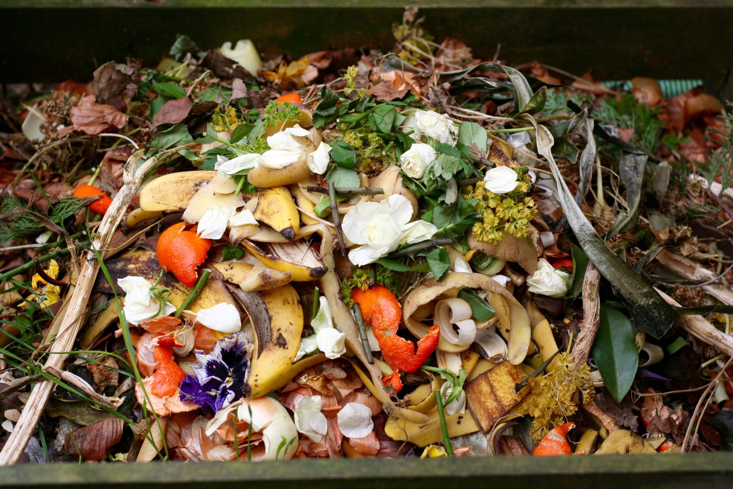 compost